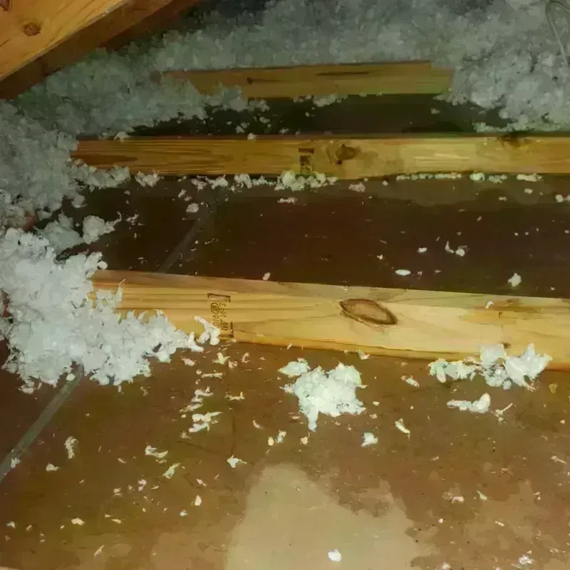 Attic Water Damage in Harvey, IL