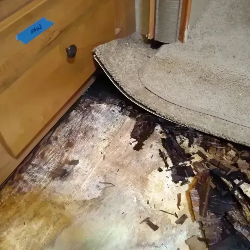 Wood Floor Water Damage in Harvey, IL